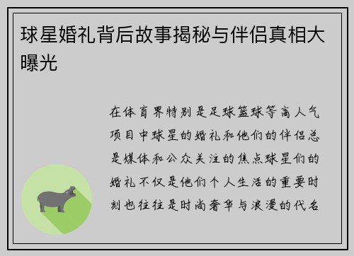 球星婚礼背后故事揭秘与伴侣真相大曝光