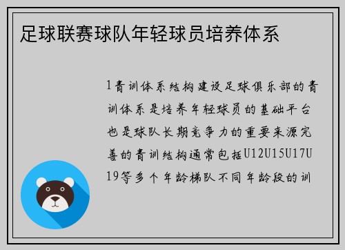 足球联赛球队年轻球员培养体系